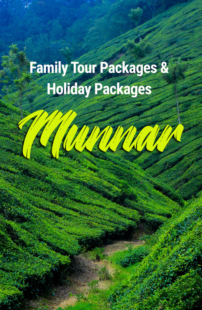 munnar tour package